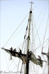 Up the rigging ...